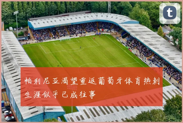 帕利尼亚渴望重返葡萄牙体育热刺生涯似乎已成往事